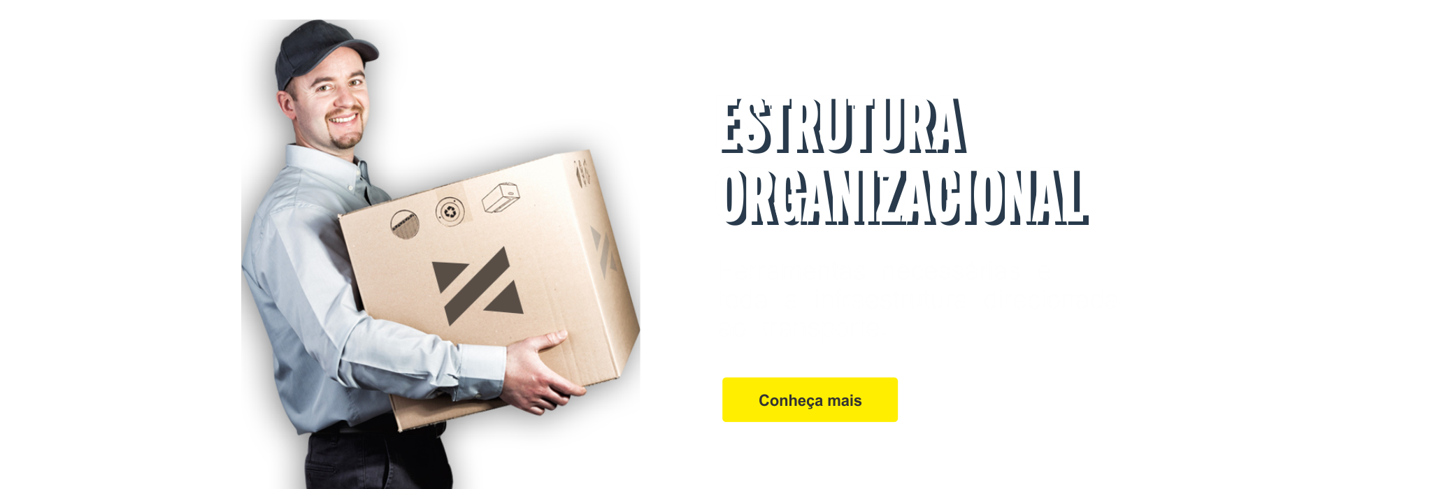 Estrutura organizacional